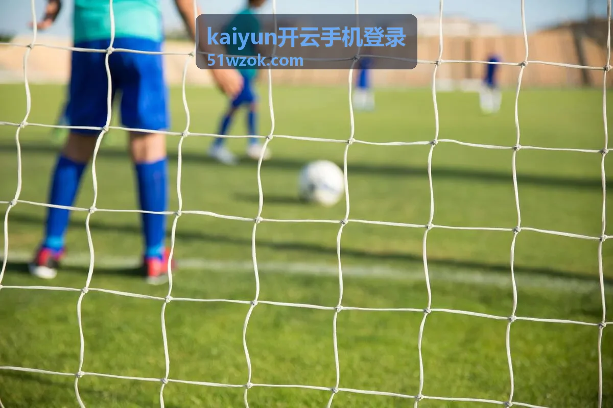 kaiyun开云手机登录异常提示排查顺序