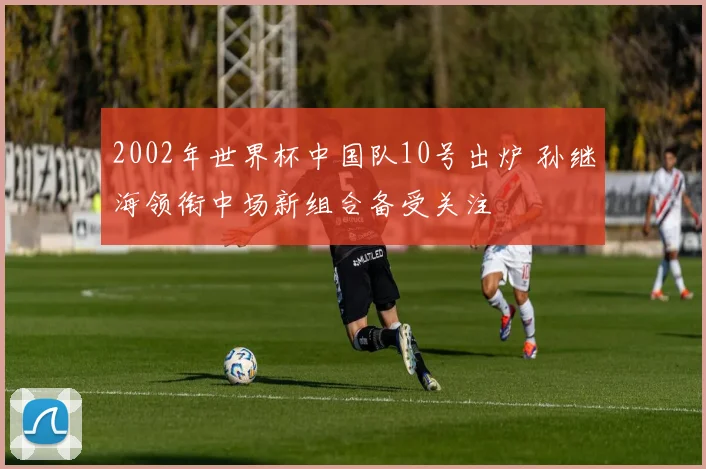 2002年世界杯中国队10号出炉 孙继海领衔中场新组合备受关注