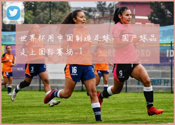 世界杯用中国制造足球,国产球品走上国际赛场_1