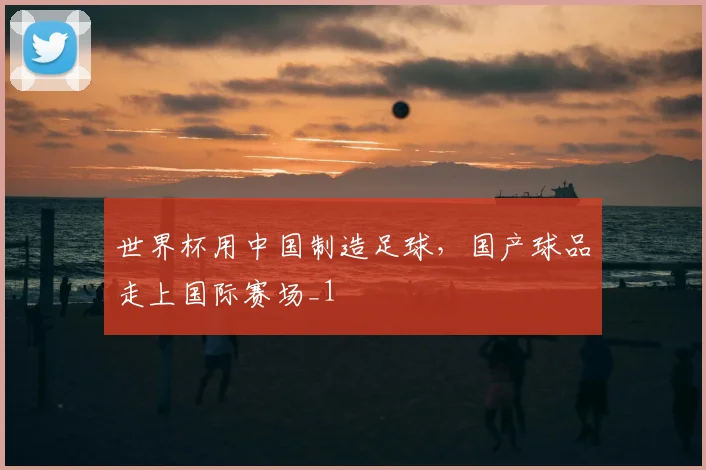世界杯用中国制造足球,国产球品走上国际赛场_1