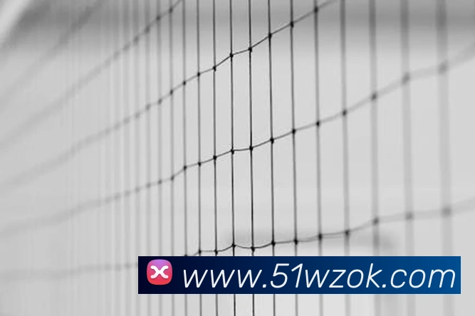 开云网页版登录入口手机版服务体系